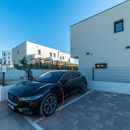 Pinna - Pinna * Pula