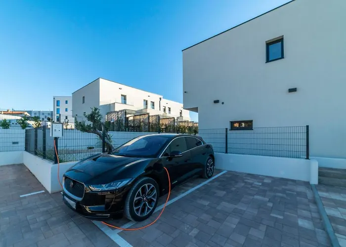 Pinna - Pinna * Pola